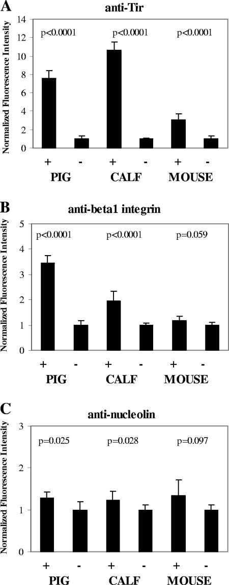 FIG. 6.