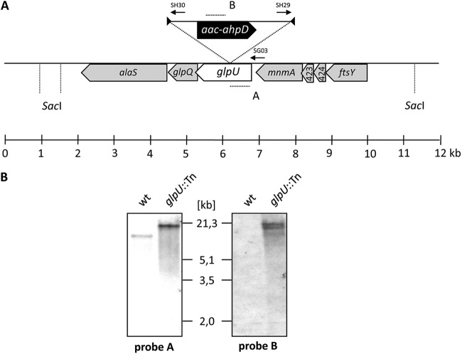 Fig 1