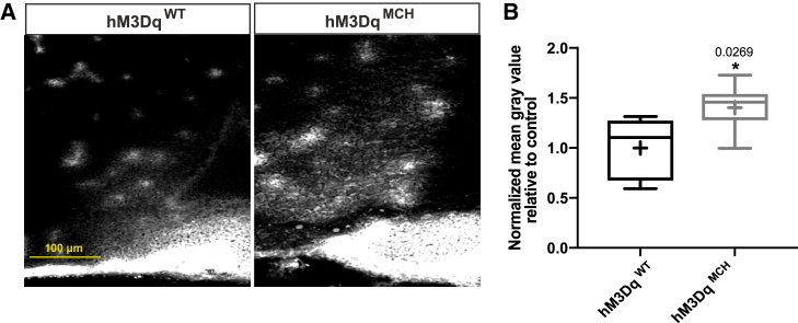 Figure 2