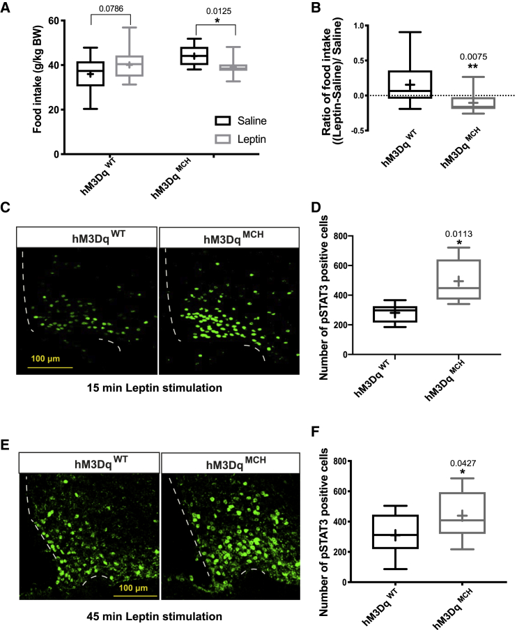 Figure 4