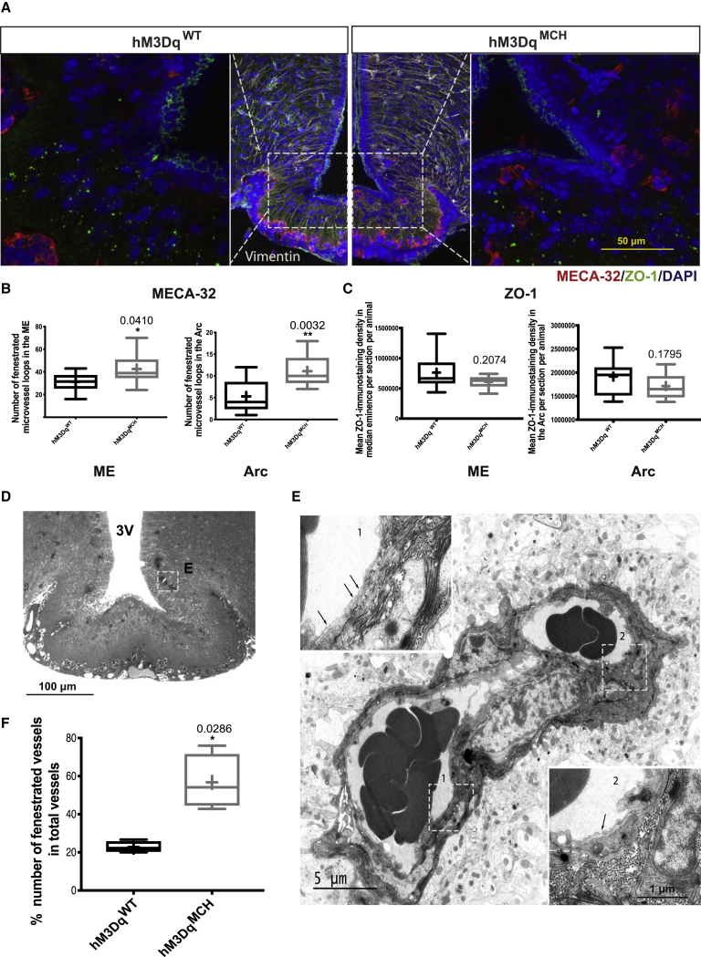 Figure 3