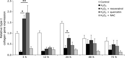 Fig. 3