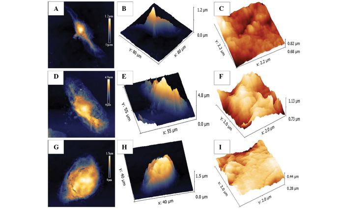 Figure 4.