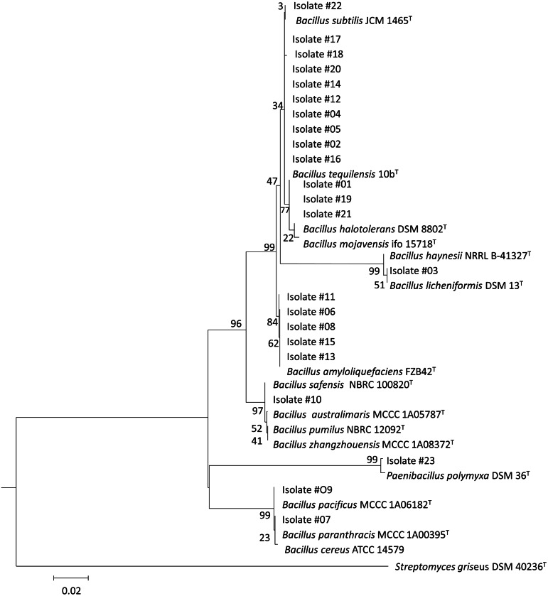 Figure 4