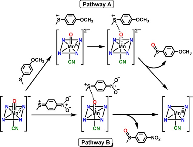 Scheme 4