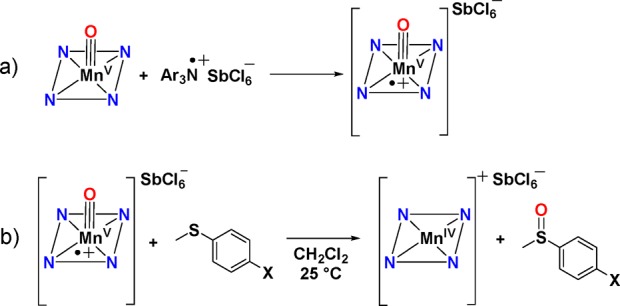 Scheme 5