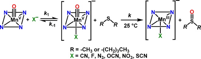 Scheme 2