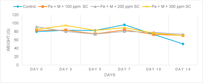 Figure 3