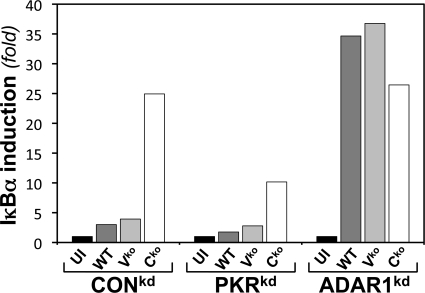 Fig 5