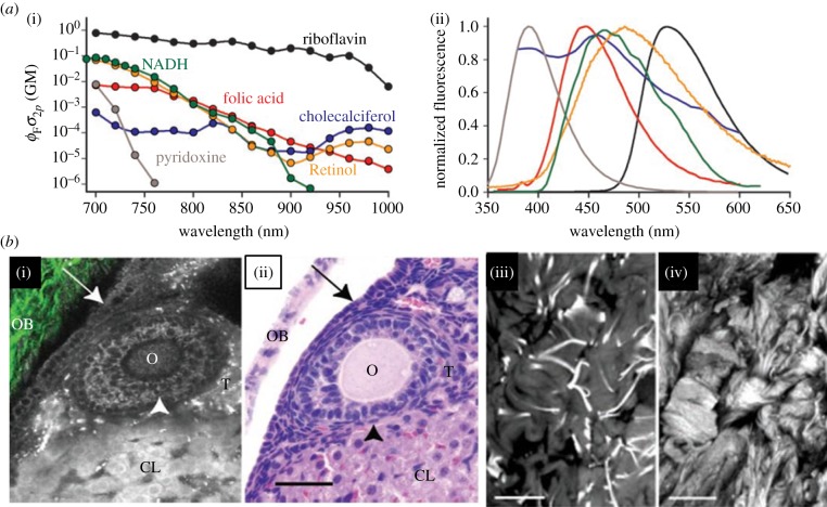 Figure 4.