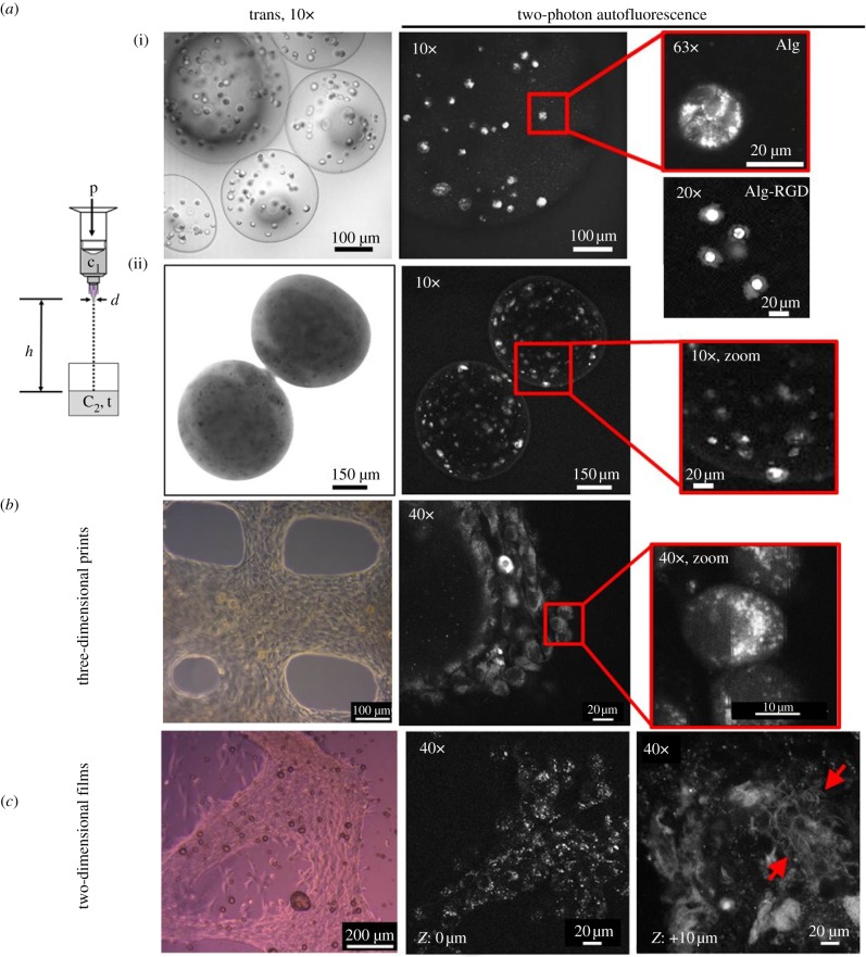 Figure 5.