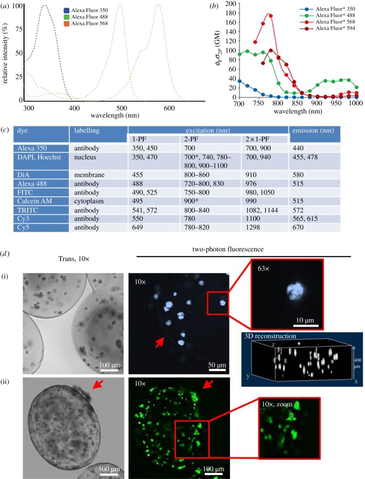 Figure 6.