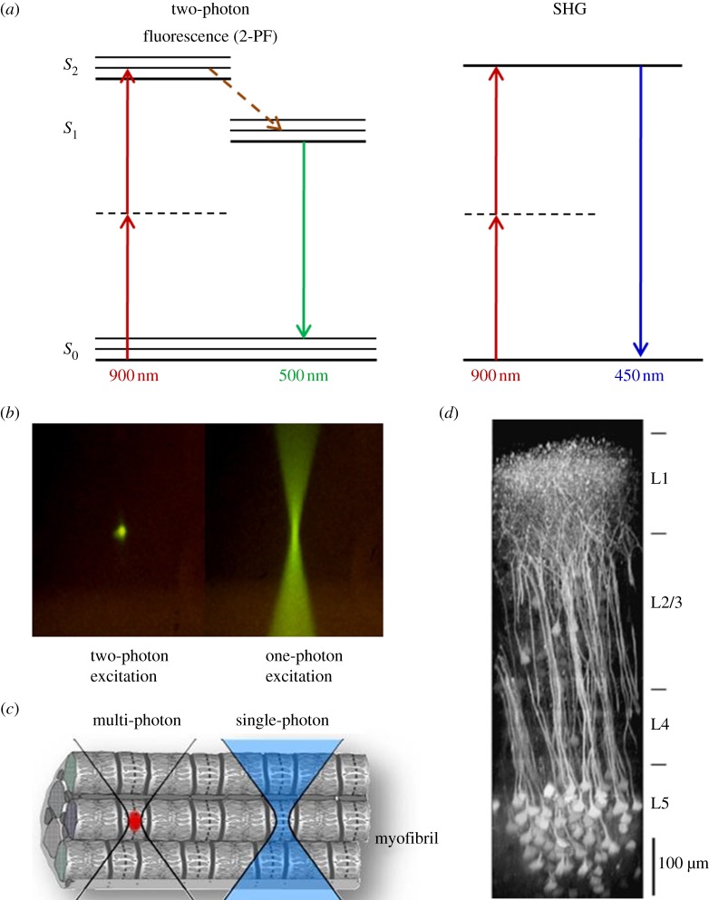 Figure 3.