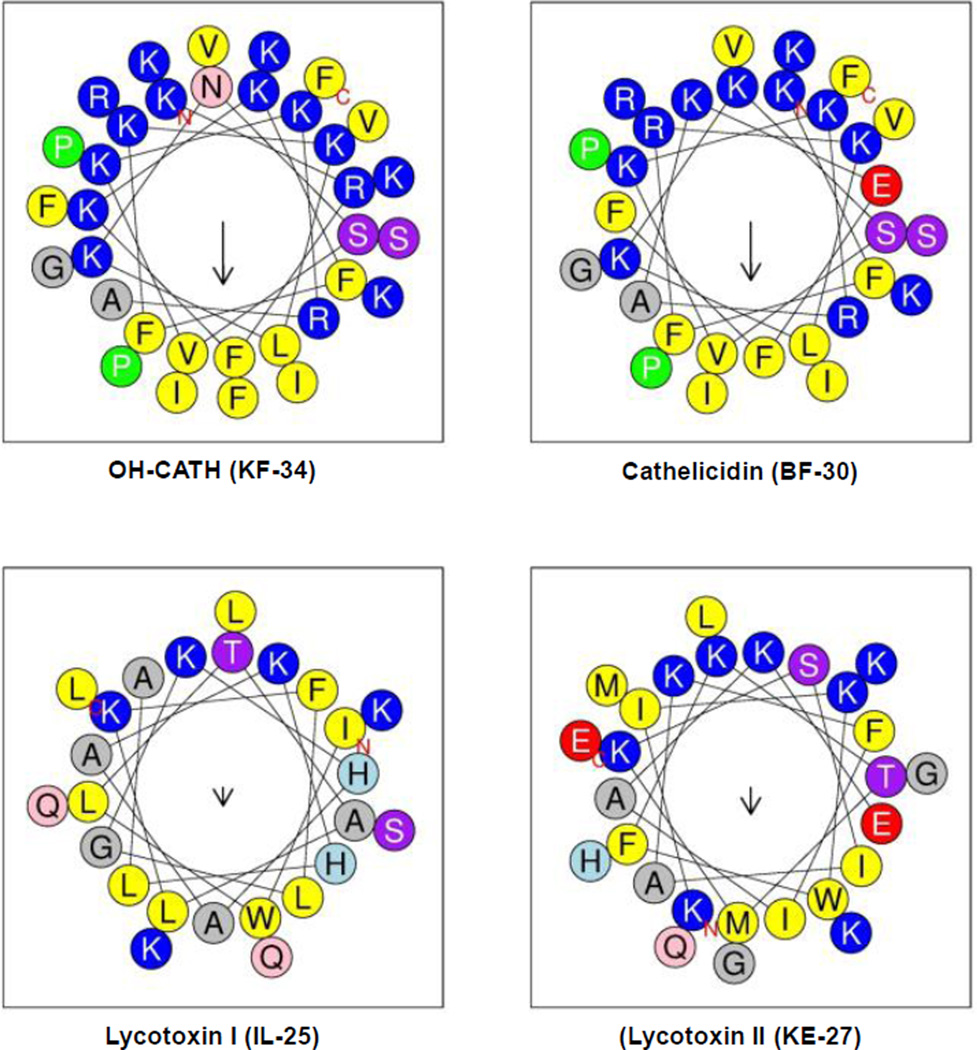 Fig. 1