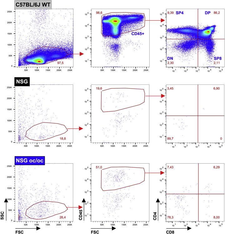 Supplementary Fig 3