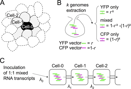 FIG. 4.