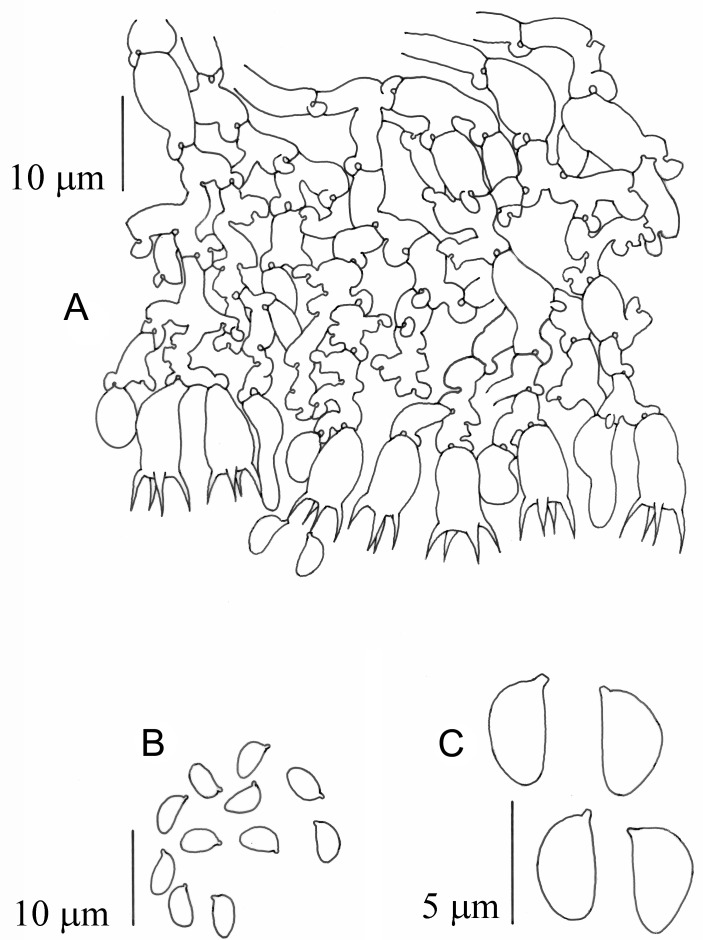 Fig. 3.