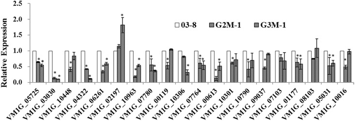 Fig 6