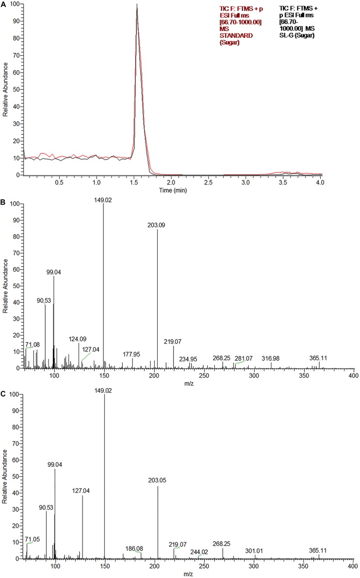 FIGURE 3