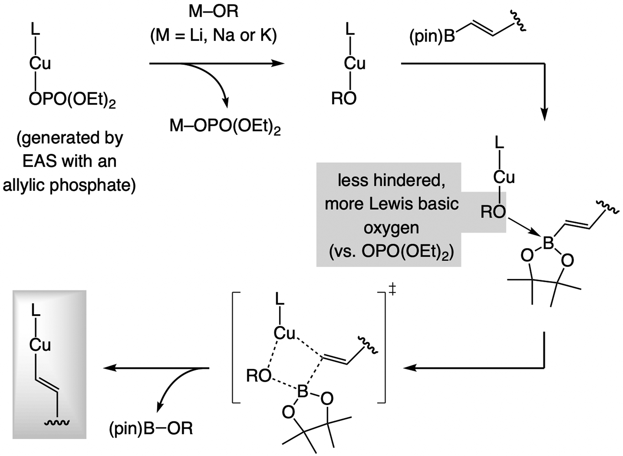 Scheme 12.