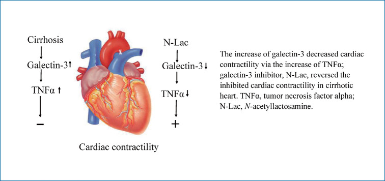graphic file with name cmh-2021-0141f9.jpg