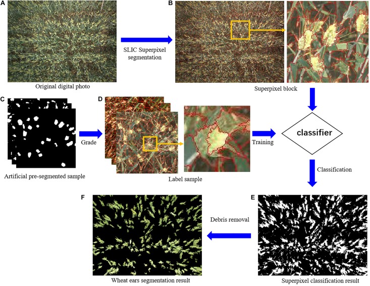 FIGURE 3