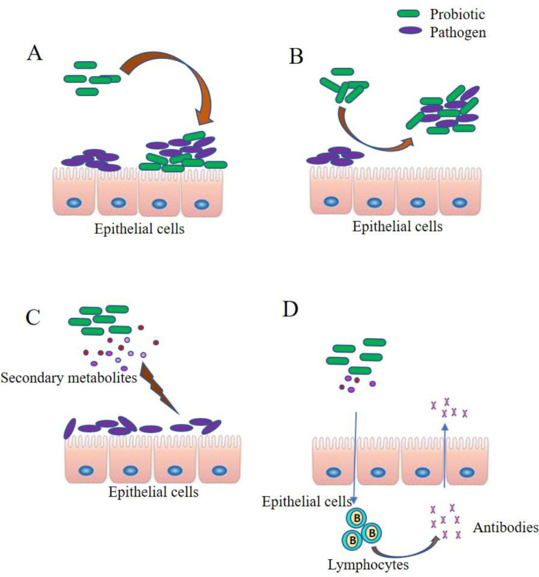 Fig 4