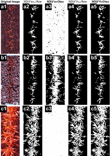 Fig. 4