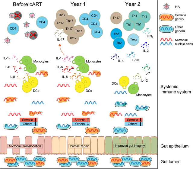 graphic file with name nihms-1707083-f0001.jpg