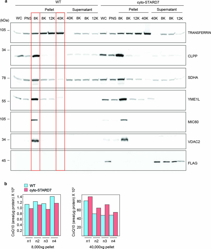 Extended Data Fig. 4