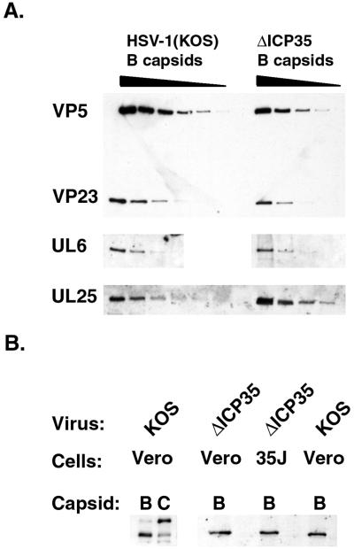 FIG. 8