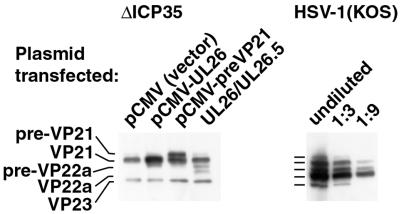 FIG. 7