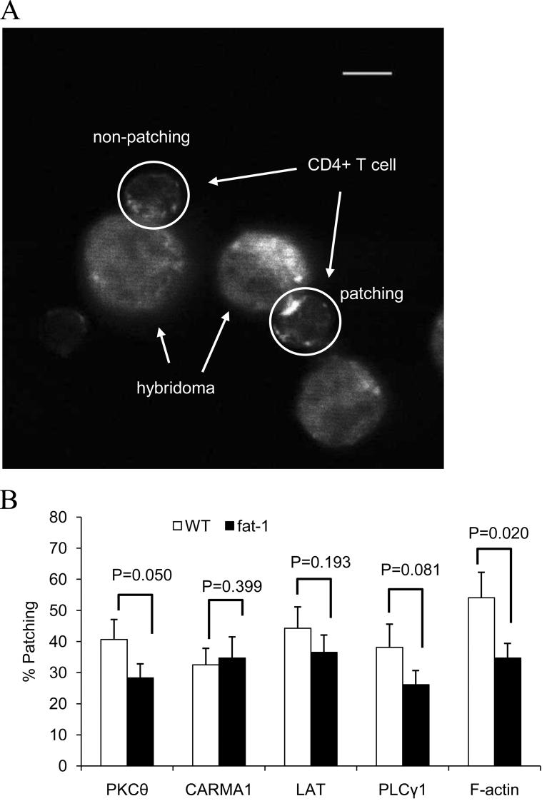 Fig. 4