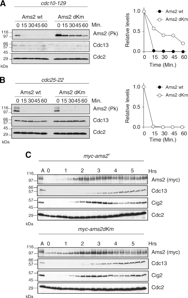 FIGURE 2.