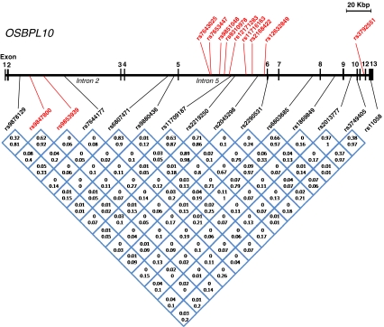 Fig. 1