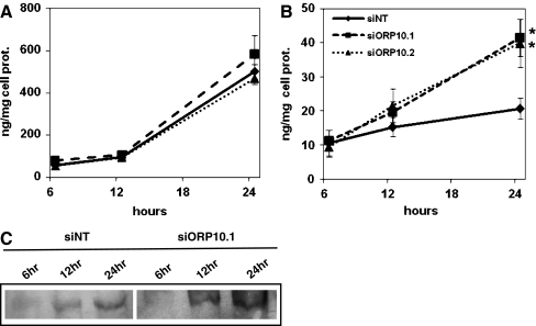 Fig. 4