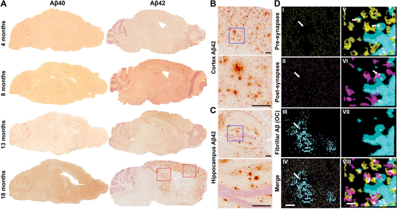 Fig. 2