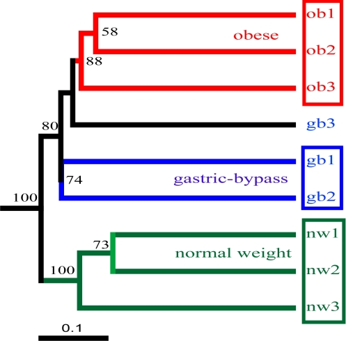 Fig. 5.