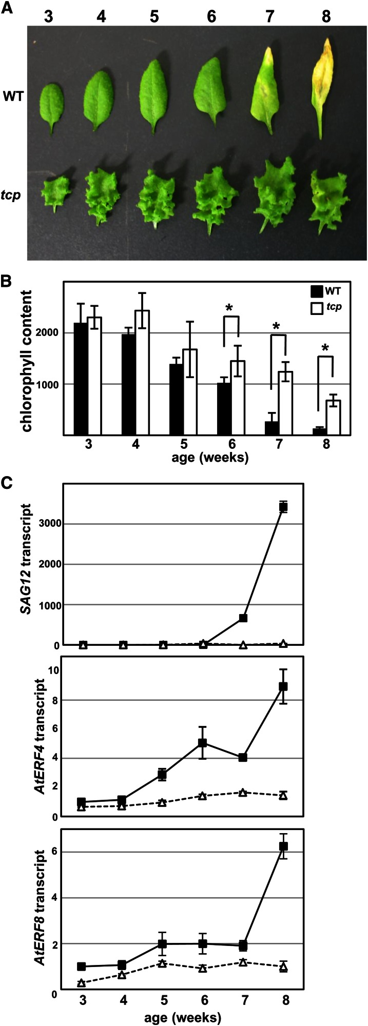 Figure 10.