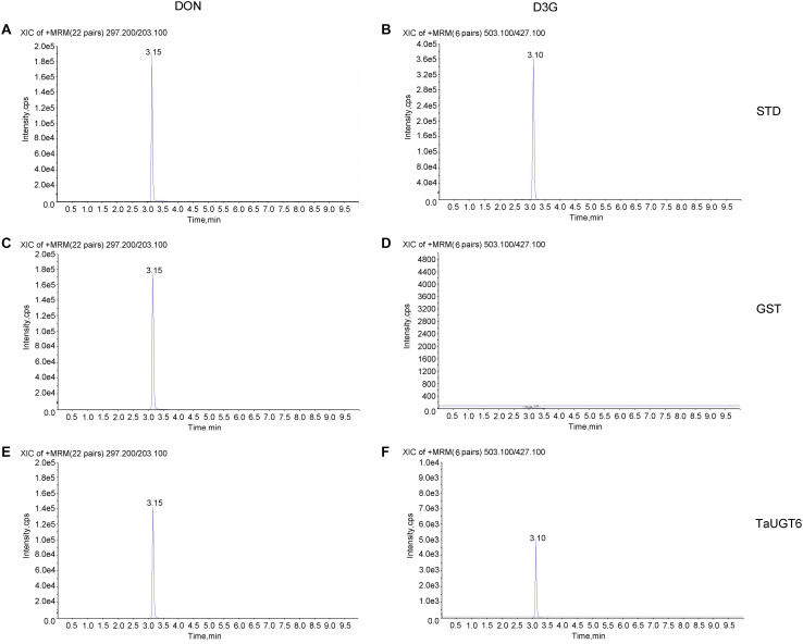 FIGURE 4