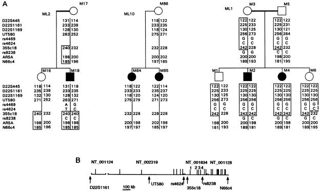 Figure  1