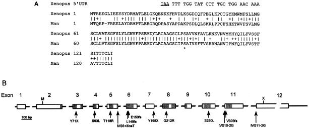 Figure  3