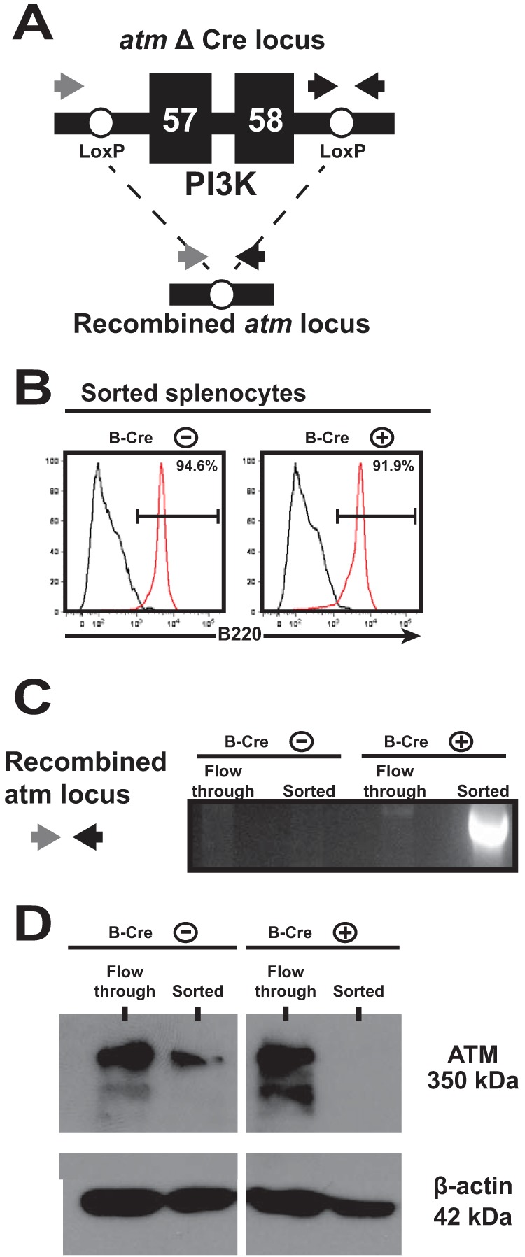 FIG 1