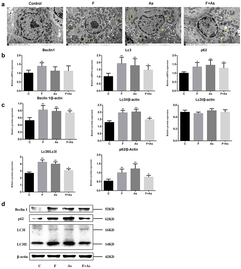 Fig. 6