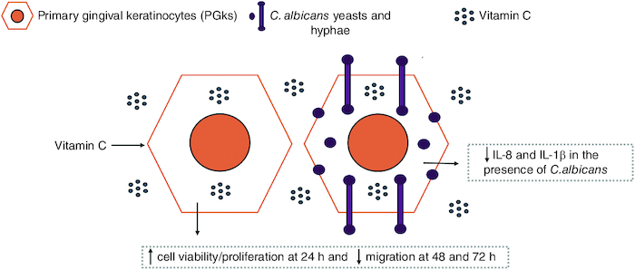 graphic file with name IFMB_A_2339633_UF0001_C.jpg