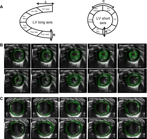 Fig. 6.