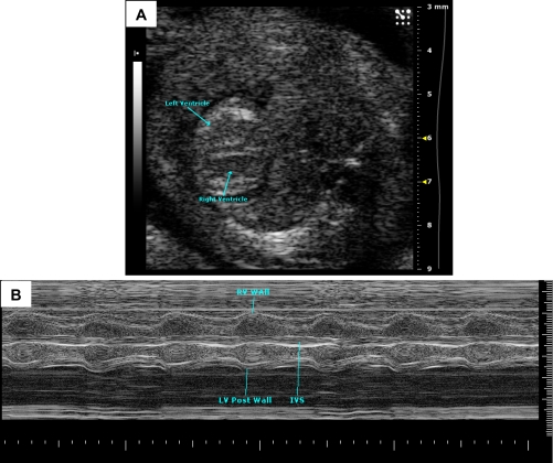 Fig. 10.