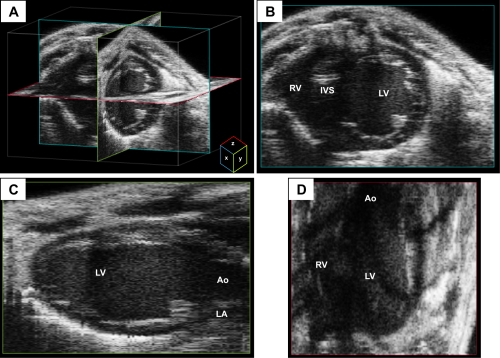 Fig. 4.