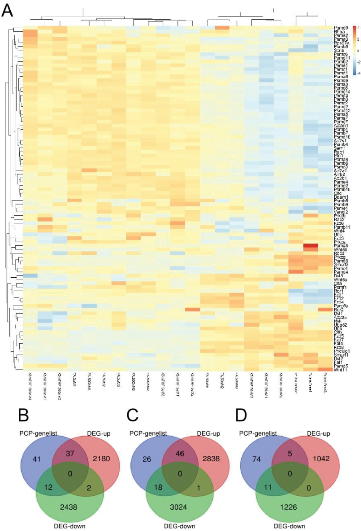 Figure 5: