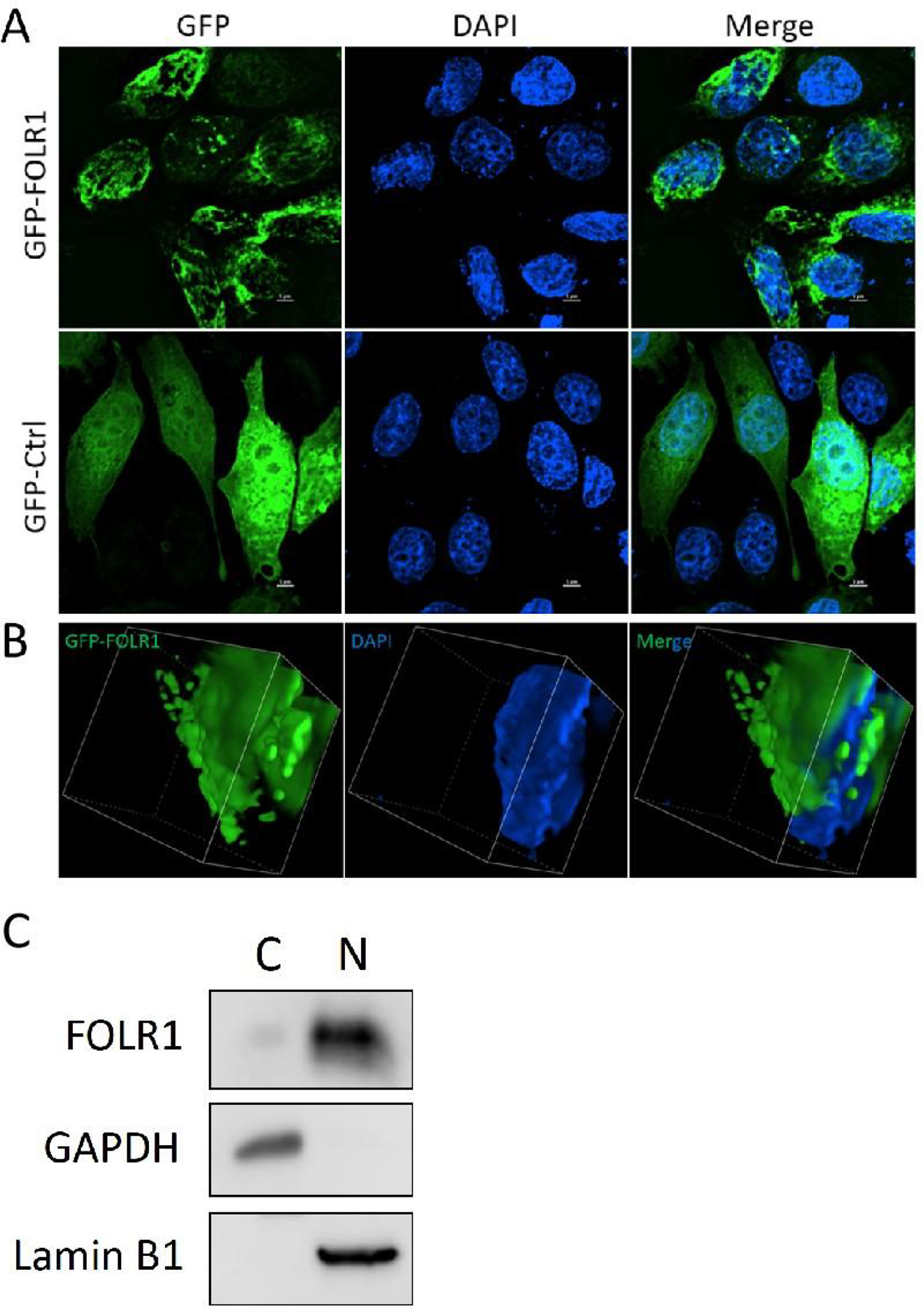 Figure 9: